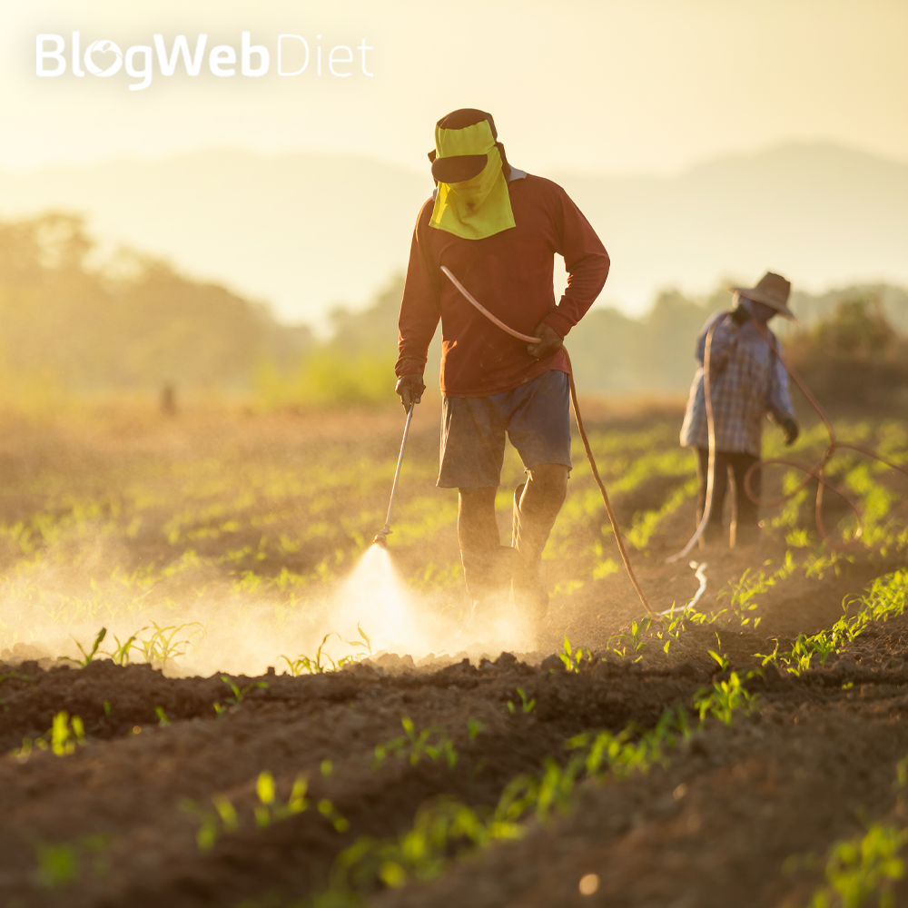 Agrotóxicos e Comunidade que Sustenta a Agricultura