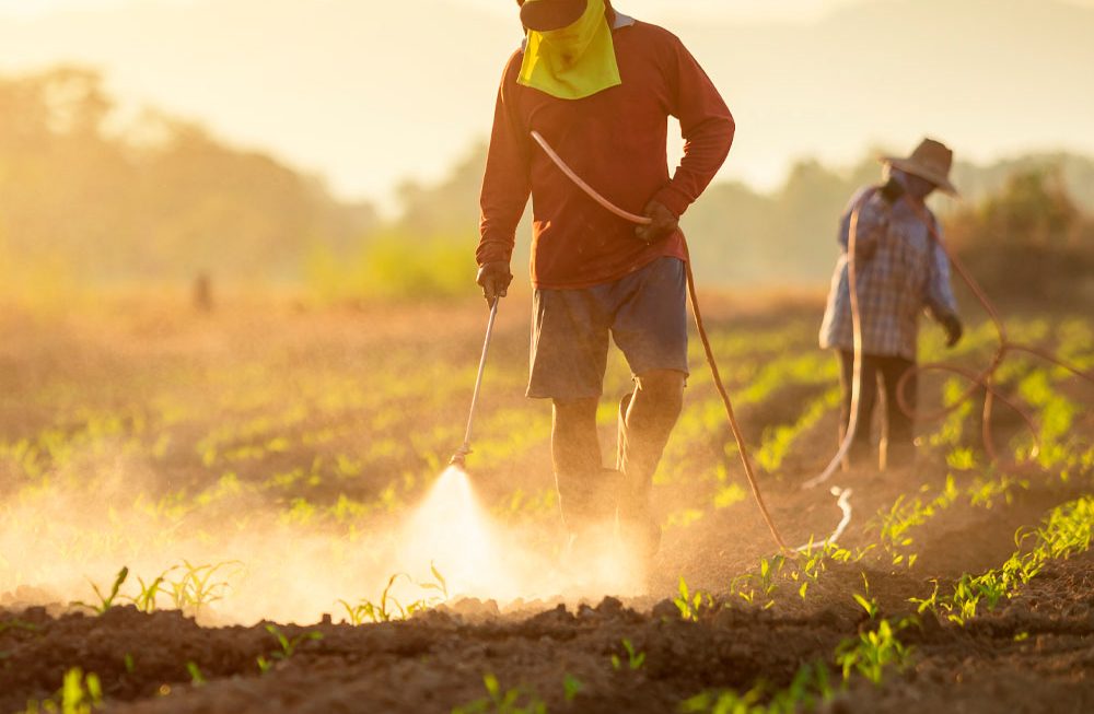 Agrotóxicos e Comunidade que Sustenta a Agricultura