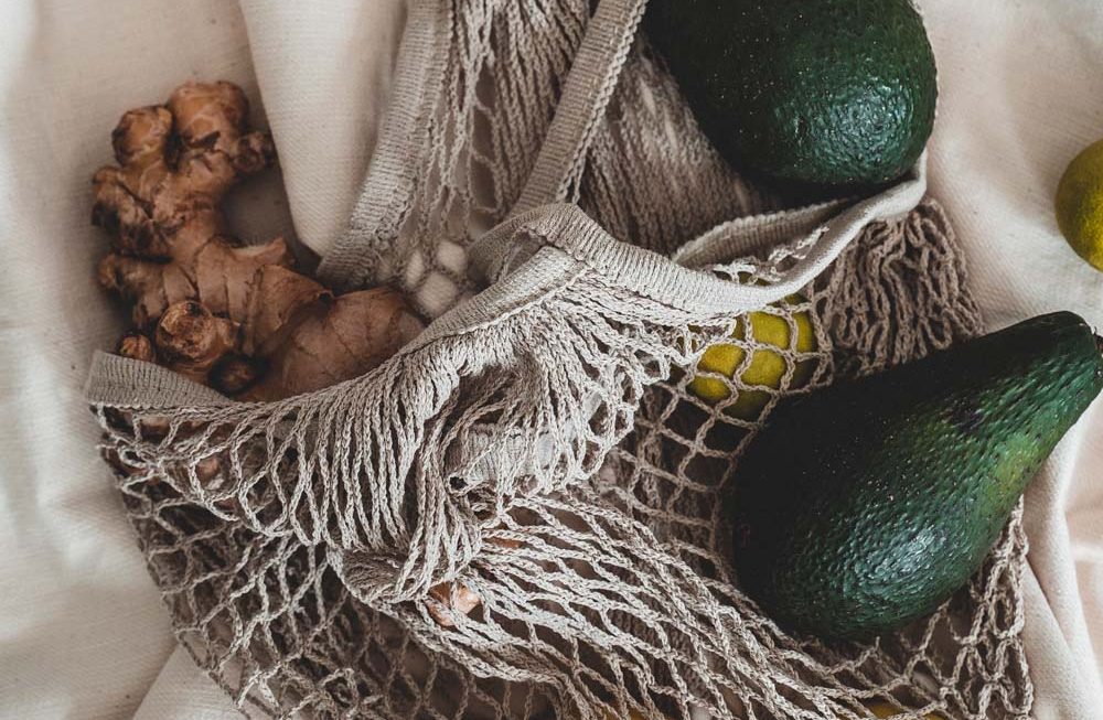 Gengibre e abacate como nutracêuticos na obesidade e comorbidades