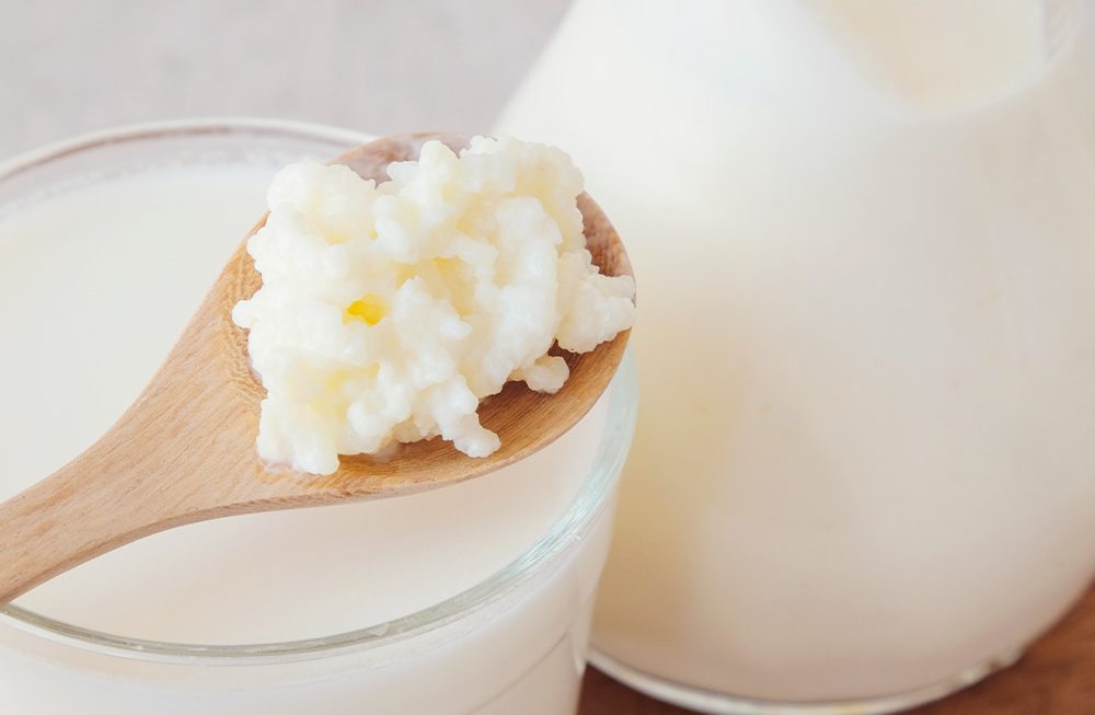 Conheça um pouco mais sobre o Kefir
