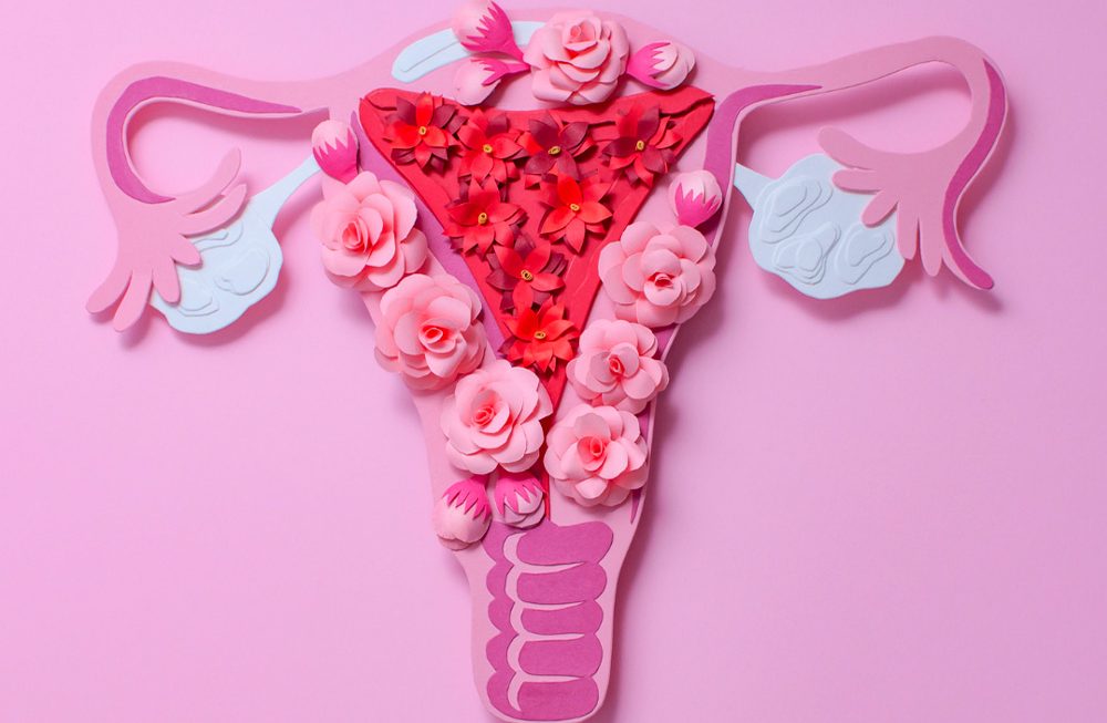 O papel do zinco em doenças do sistema reprodutor feminino – Parte 1