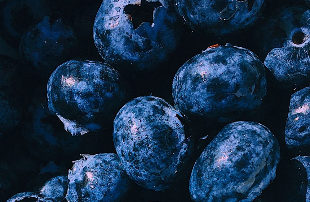 Propriedades anti-inflamatórias e imunomodulatórias de alimentos vegetais fermentados
