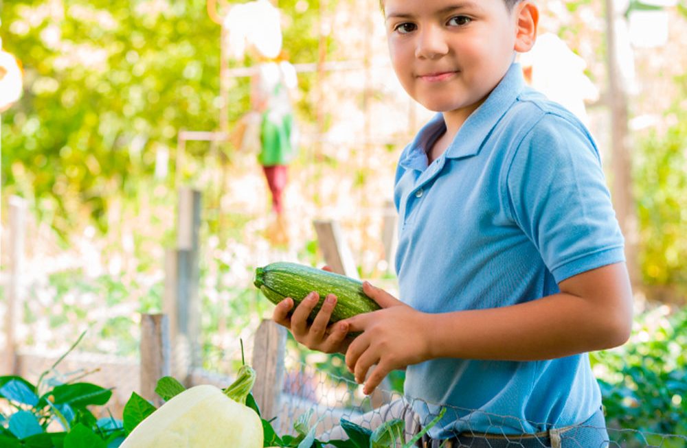 Impacto de uma intervenção de horta escolar na ingestão e qualidade da dieta