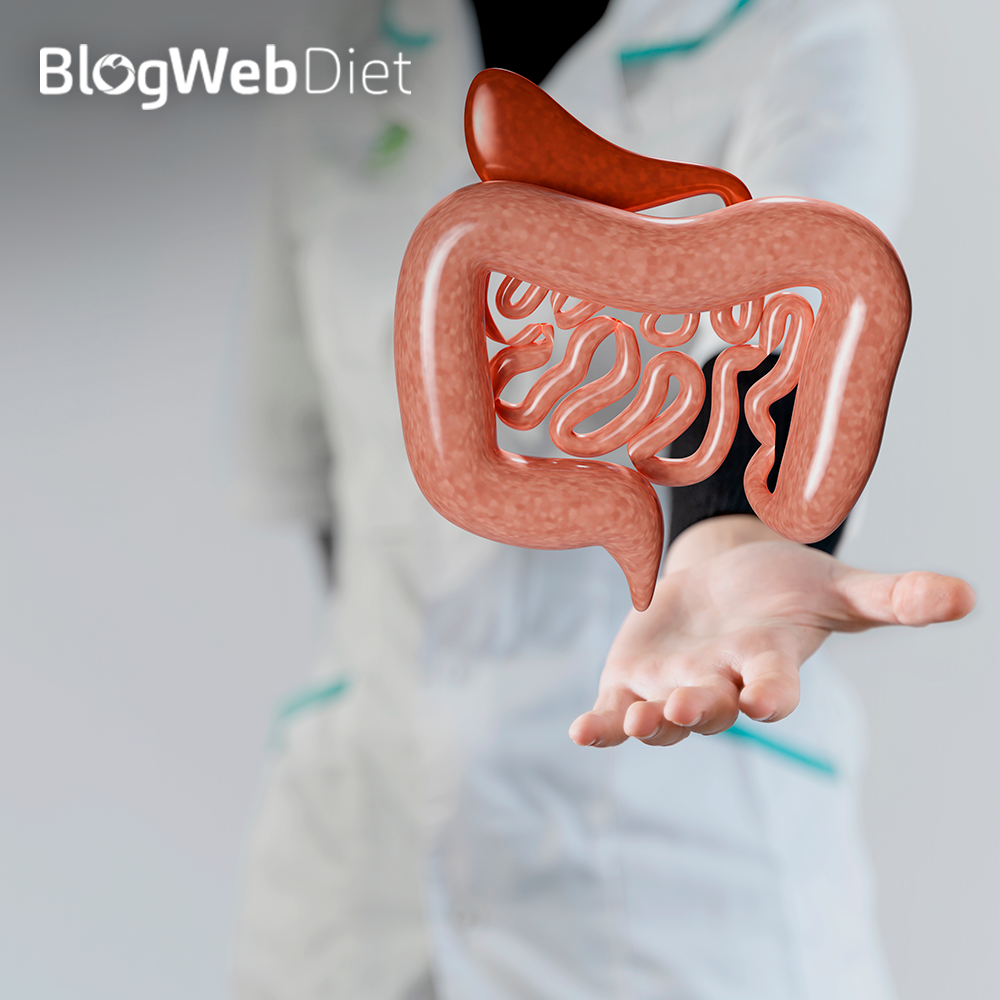 Alimentação e o trato gastrointestinal