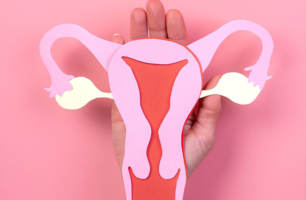 Fertilidade feminina