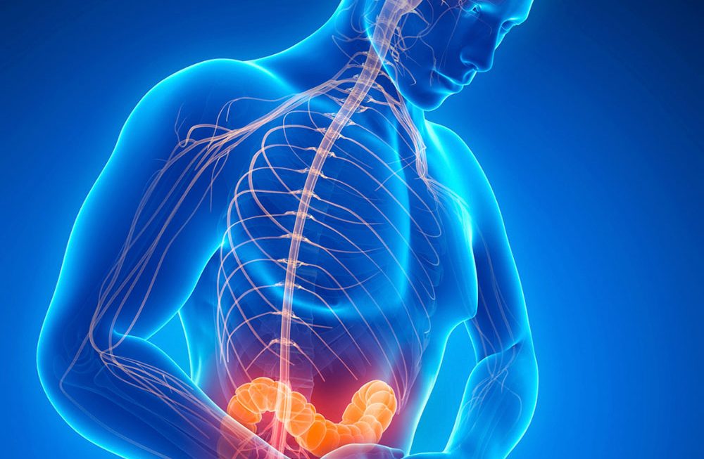 Eixo intestino-cérebro. Por que é tão importante?