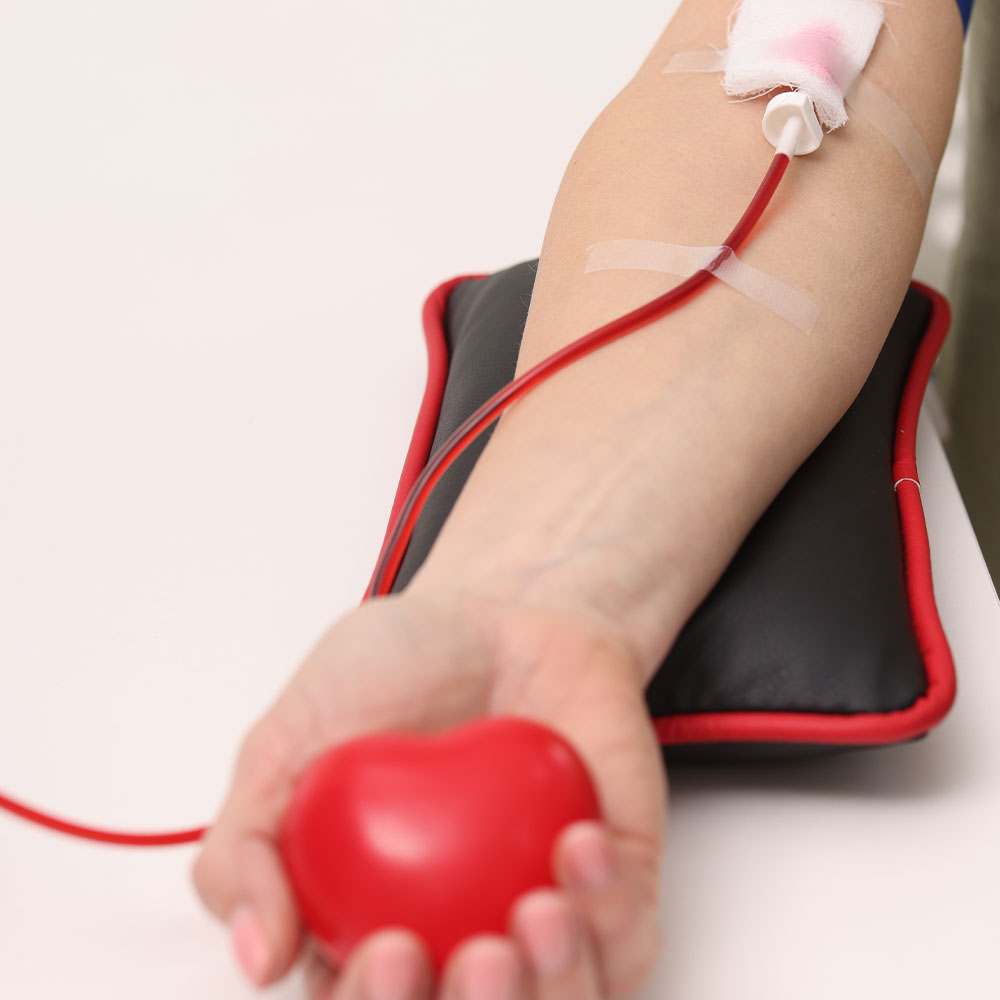 A importância da doação de sangue