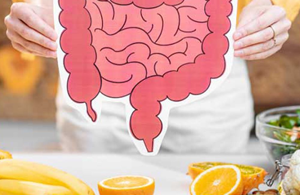 Saúde intestinal: o papel das fibras solúveis e insolúveis