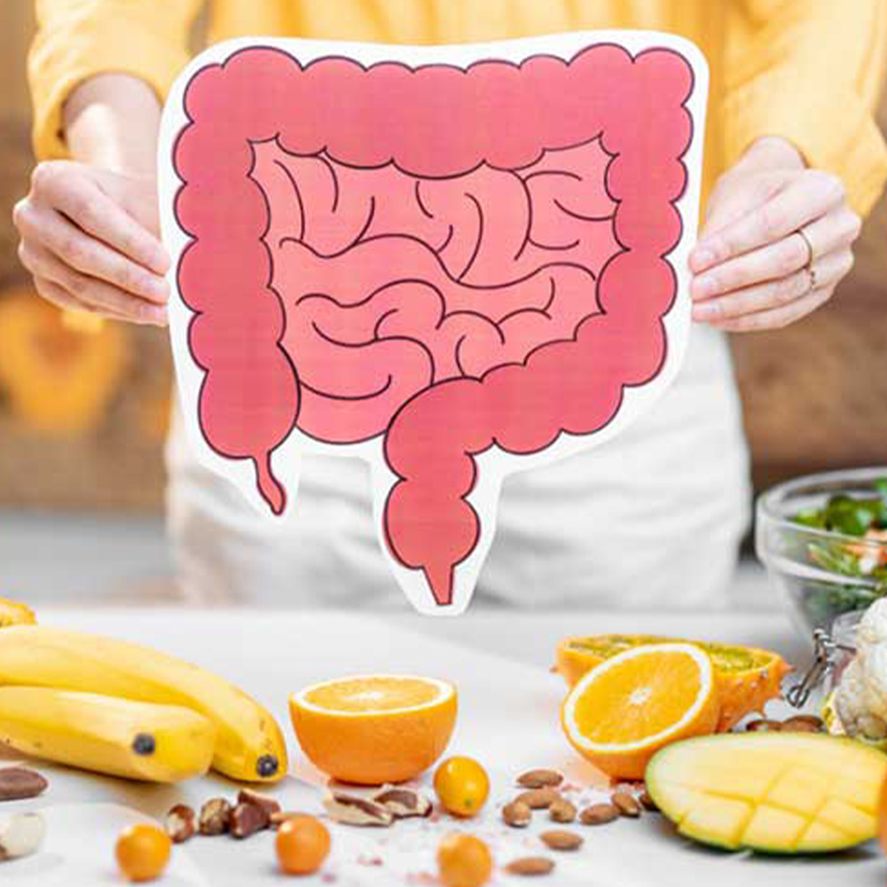 Na foto, uma imagem ilustrativa do intestino, cercado de alimentos ricos em fibras soluveis e insoluveis